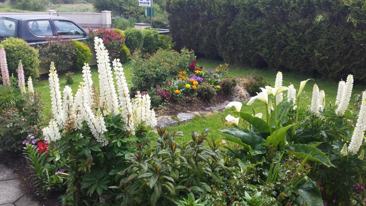 Riverwalk House B&B Oughterard Exterior photo